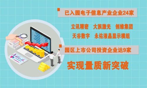 奋进在春光里 电子信息产业 满园春色 赋能向海图强